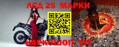 стафф Гусев