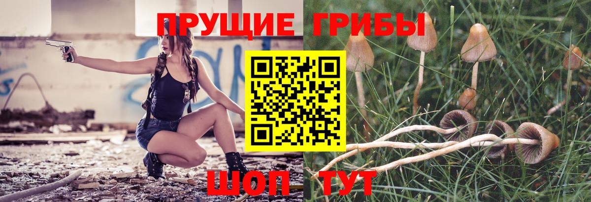Луга  Псилоцибиновые грибы Cubensis  Вход с VPN  Псилоцибиновые грибы MAGIC MUSHROOMS 